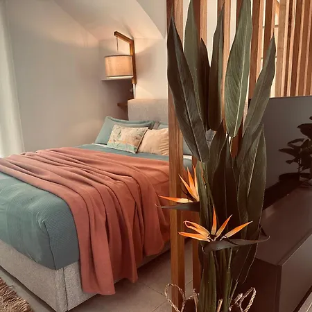 Tzane Luxury Guest house *